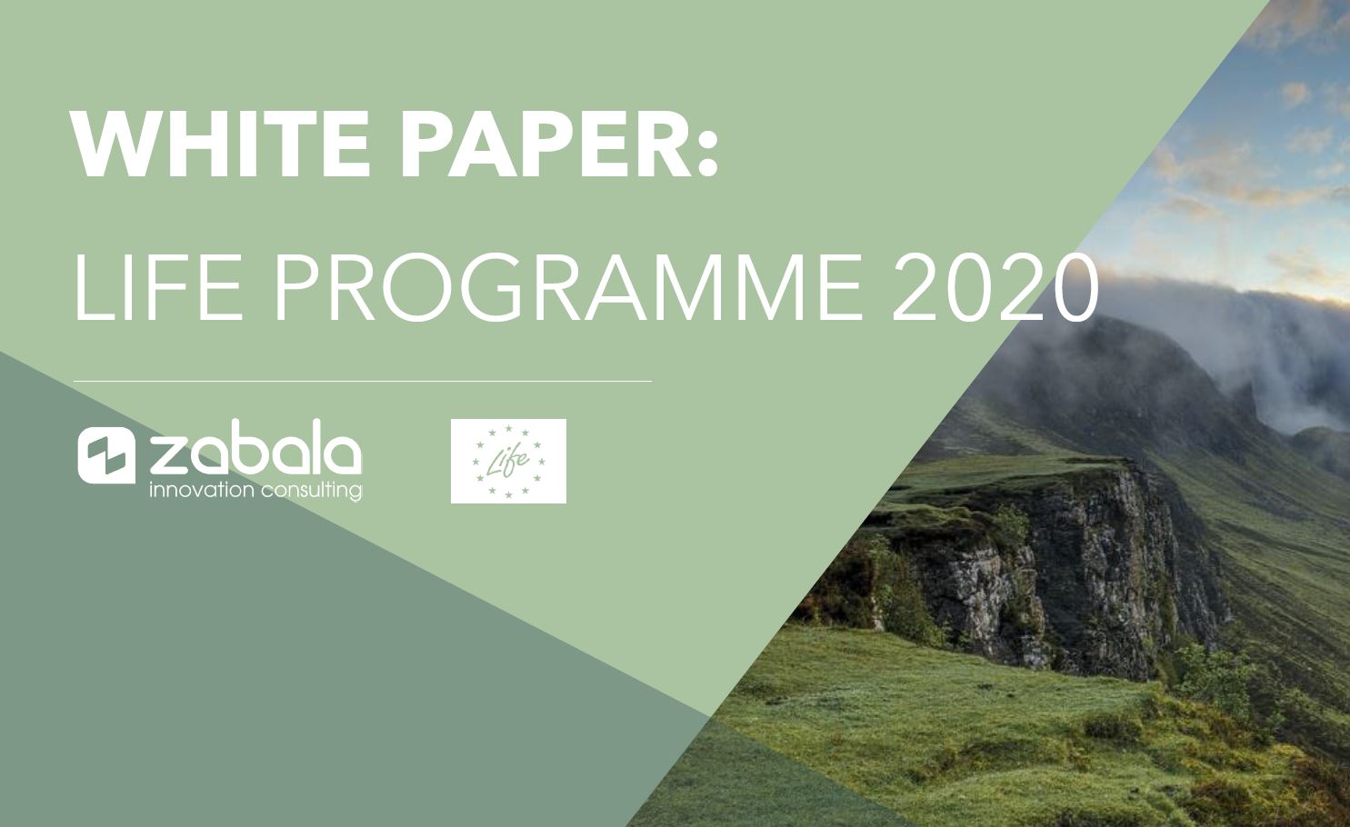 White Paper of LIFE Programme 2020
